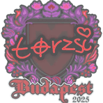 Sticker | torzsi | Budapest 2025