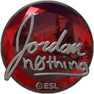 Sticker | n0thing (Foil) | Katowice 2019 image