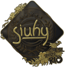 Sticker | siuhy (Gold) | Rio 2022 image
