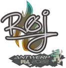 Sticker | roeJ | Antwerp 2022 image