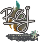 Sticker | roeJ | Antwerp 2022