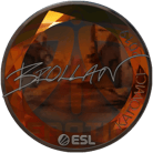 Sticker | Brollan (Foil) | Katowice 2019 image