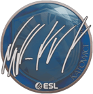 Sticker | NAF | Katowice 2019 image