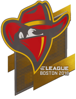 Sticker | Renegades | Boston 2018