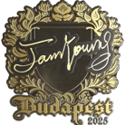 Sticker | JamYoung (Gold) | Budapest 2025 image