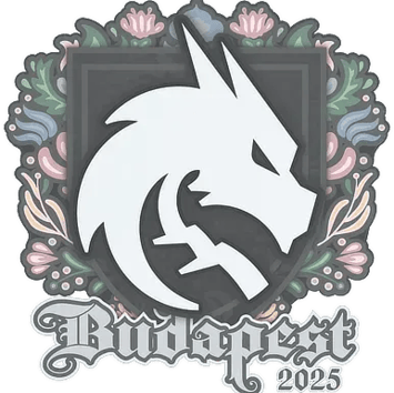 Tarra | Team Spirit | Budapest 2025