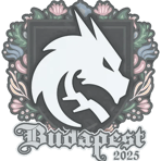 Sticker | Team Spirit | Budapest 2025