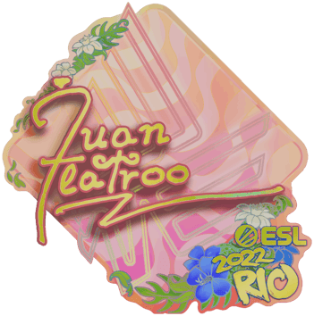 Sticker | juanflatroo (Holo) | Rio 2022