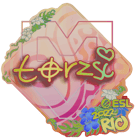 Sticker | torzsi (Holo) | Rio 2022 image