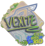 Sticker | vexite (Holo) | Rio 2022