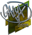 Sticker | Calyx (Foil) | Boston 2018 image