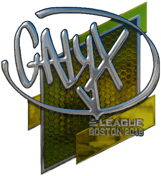 Sticker | Calyx (reflectante) | Boston 2018