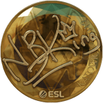 Sticker | NBK- (Gold) | Katowice 2019