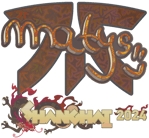 Sticker | MATYS (Holo) | Shanghai 2024 image