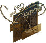 Sticker | Summer (Gold) | Boston 2018