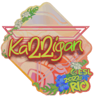 Sticker | karrigan (Holo) | Rio 2022 Sticker | karrigan (Holo) | Rio 2022 image