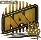Sticker | Natus Vincere (Gold) | 2020 RMR image