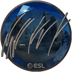 Sticker | NAF (Foil) | Katowice 2019
