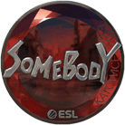 Sticker | somebody (Foil) | Katowice 2019 image