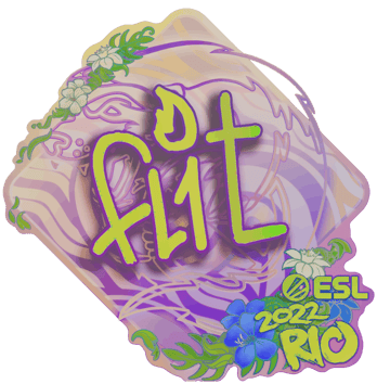 Sticker | FL1T (Ảnh toàn ký) | Rio 2022