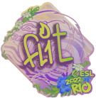 Sticker | FL1T (Holo) | Rio 2022 Sticker | FL1T (Holo) | Rio 2022 image