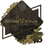 Sticker | sdy (Gold) | Rio 2022