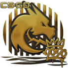 Sticker | Spirit (Gold) | 2020 RMR image