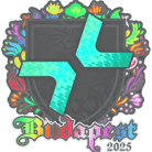 Sticker | PARIVISION (Holo) | Budapest 2025 image