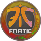 Sticker | Fnatic (Holo) | Katowice 2019 Sticker | Fnatic (Holo) | Katowice 2019 image