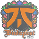 Sticker | fnatic (Embroidered) | Budapest 2025 image