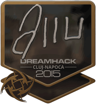 Sticker | allu (kiilto) | Cluj-Napoca 2015