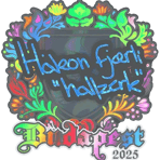 Sticker | hallzerk (Holo) | Budapest 2025