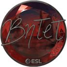 Sticker | BnTeT (Foil) | Katowice 2019 image