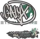 Sticker | Calyx | Antwerp 2022 image