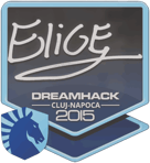 Sticker | EliGE | Cluj-Napoca 2015