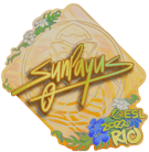 Sticker | SunPayus (Holo) | Rio 2022 image