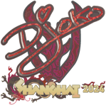 Sticker | Djoko (Holo) | Shanghai 2024