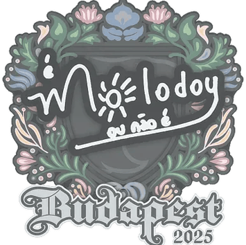 Adesivo | molodoy | Budapest 2025