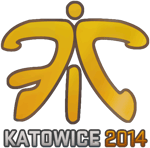 Sticker | Fnatic (Holo) | Katowice 2014
