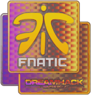 Sticker | Fnatic (Holo) | DreamHack 2014 image