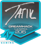 Sticker | tarik | Cluj-Napoca 2015