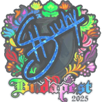 Sticker | siuhy (Holo) | Budapest 2025