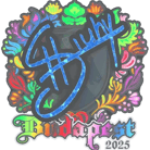 Sticker | siuhy (Holo) | Budapest 2025 Sticker | siuhy (Holo) | Budapest 2025 image