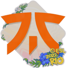 Sticker | Fnatic | Rio 2022 Sticker | Fnatic | Rio 2022 image
