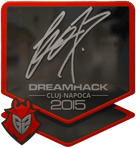 Sticker | fox (Foil) | Cluj-Napoca 2015