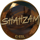 Sticker | ShahZaM (Gold) | Katowice 2019 image