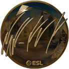 Sticker | NAF (Gold) | Katowice 2019 image