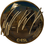 Sticker | NAF (Gold) | Katowice 2019
