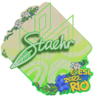 Sticker | Staehr | Rio 2022 image