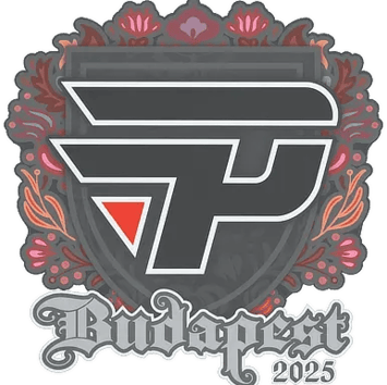 Aufkleber | paiN Gaming | Budapest 2025